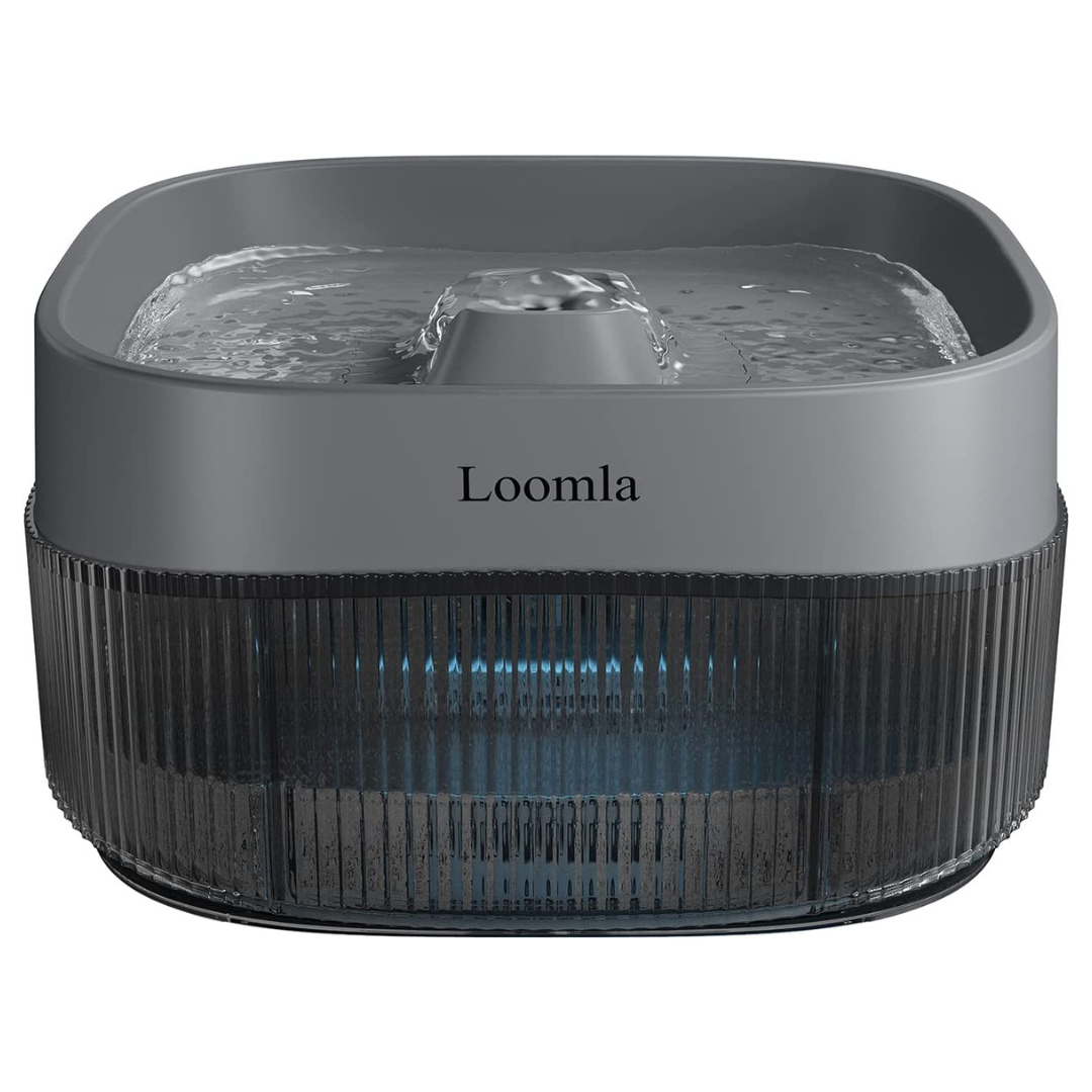 Pet water fountain