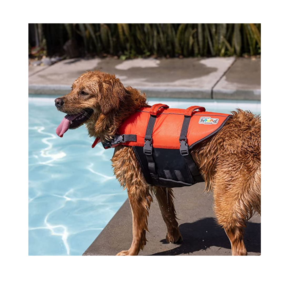 Granby Splash Orange Dog Life Jacket