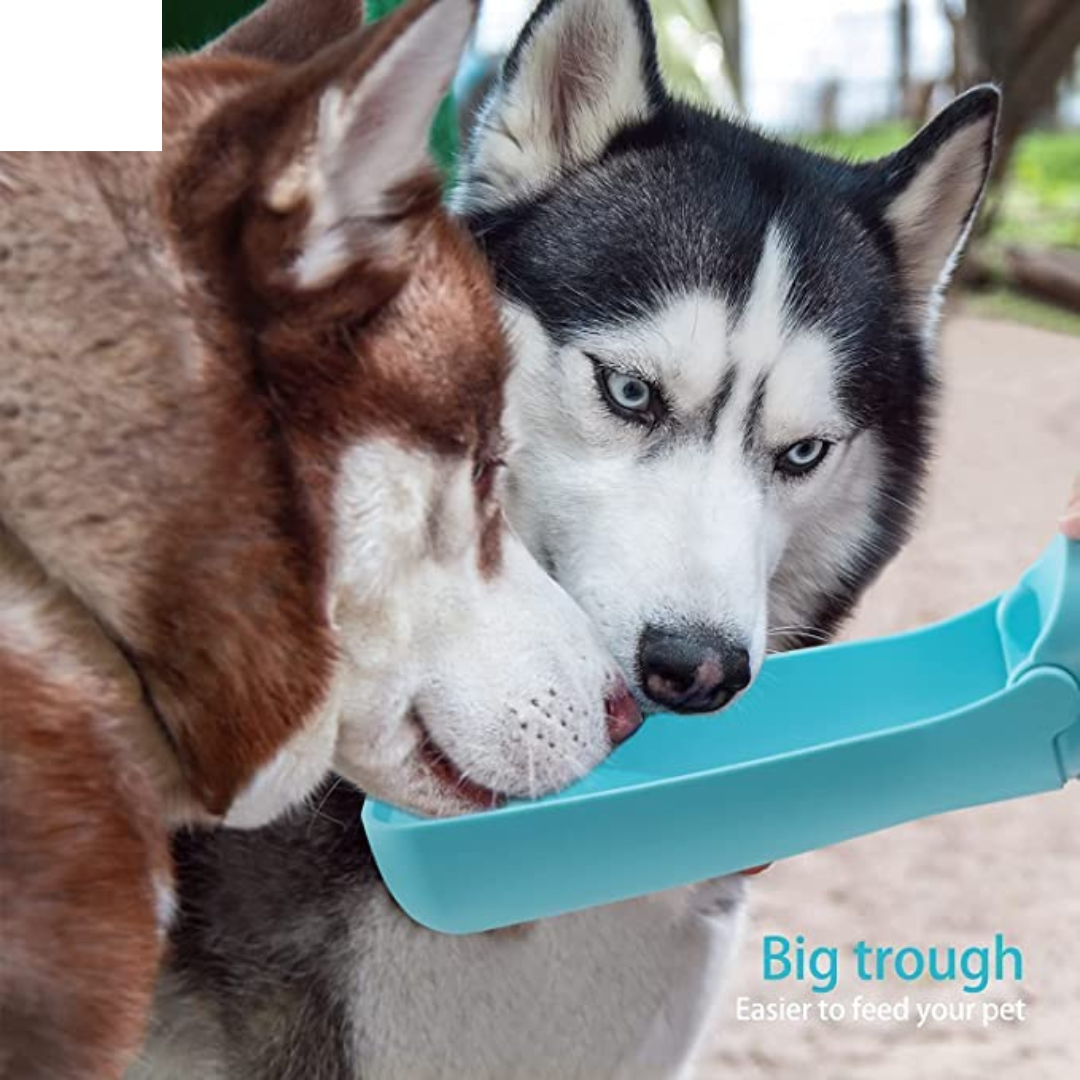 Dog Water Bottle for Walking 19 OZ or 12 OZ