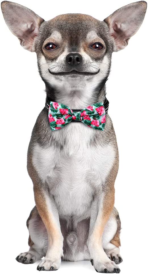 Bulk Fruit Hawaiian Styles Small Dog Bowties