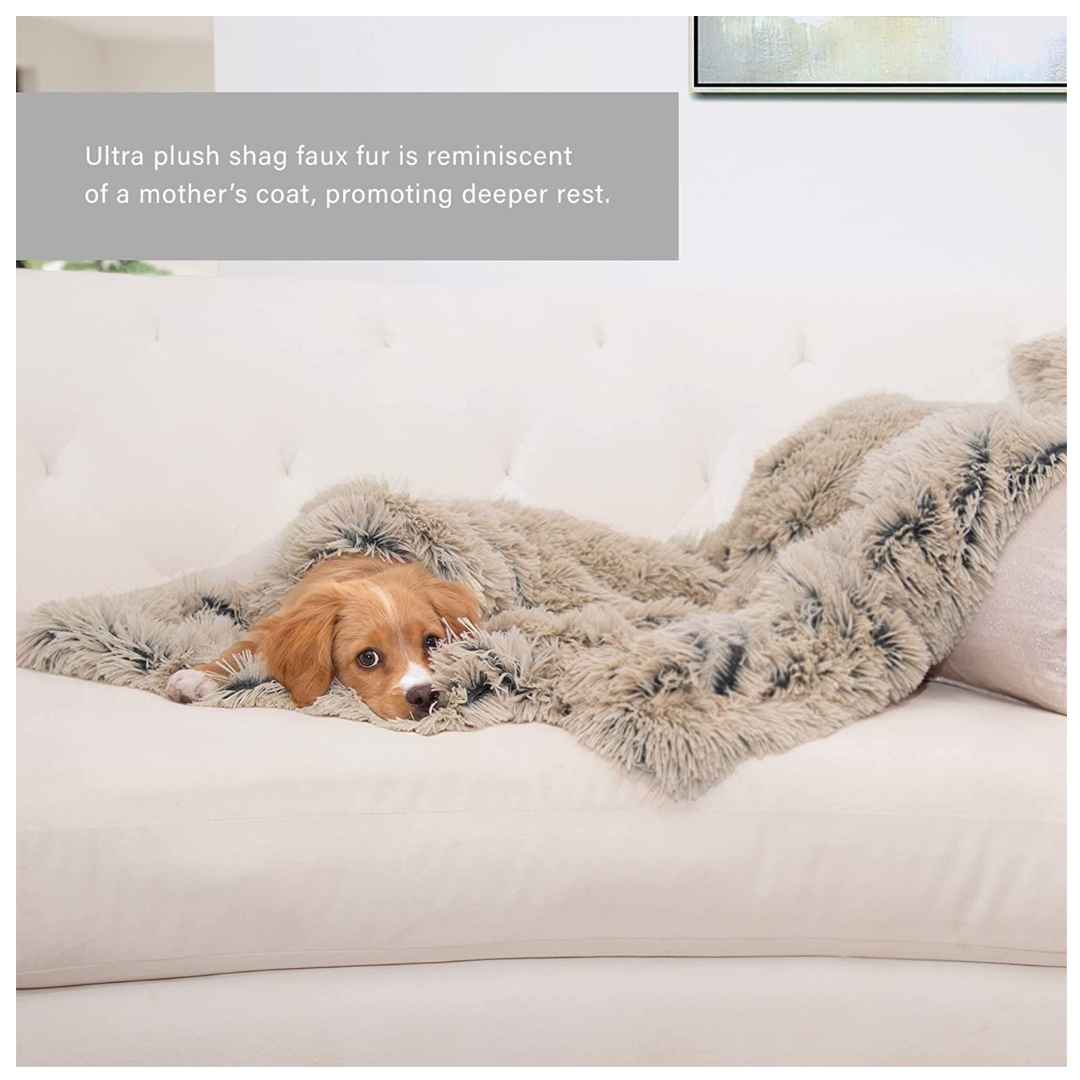Pet Throw Blanket Taupe, 30"x40"