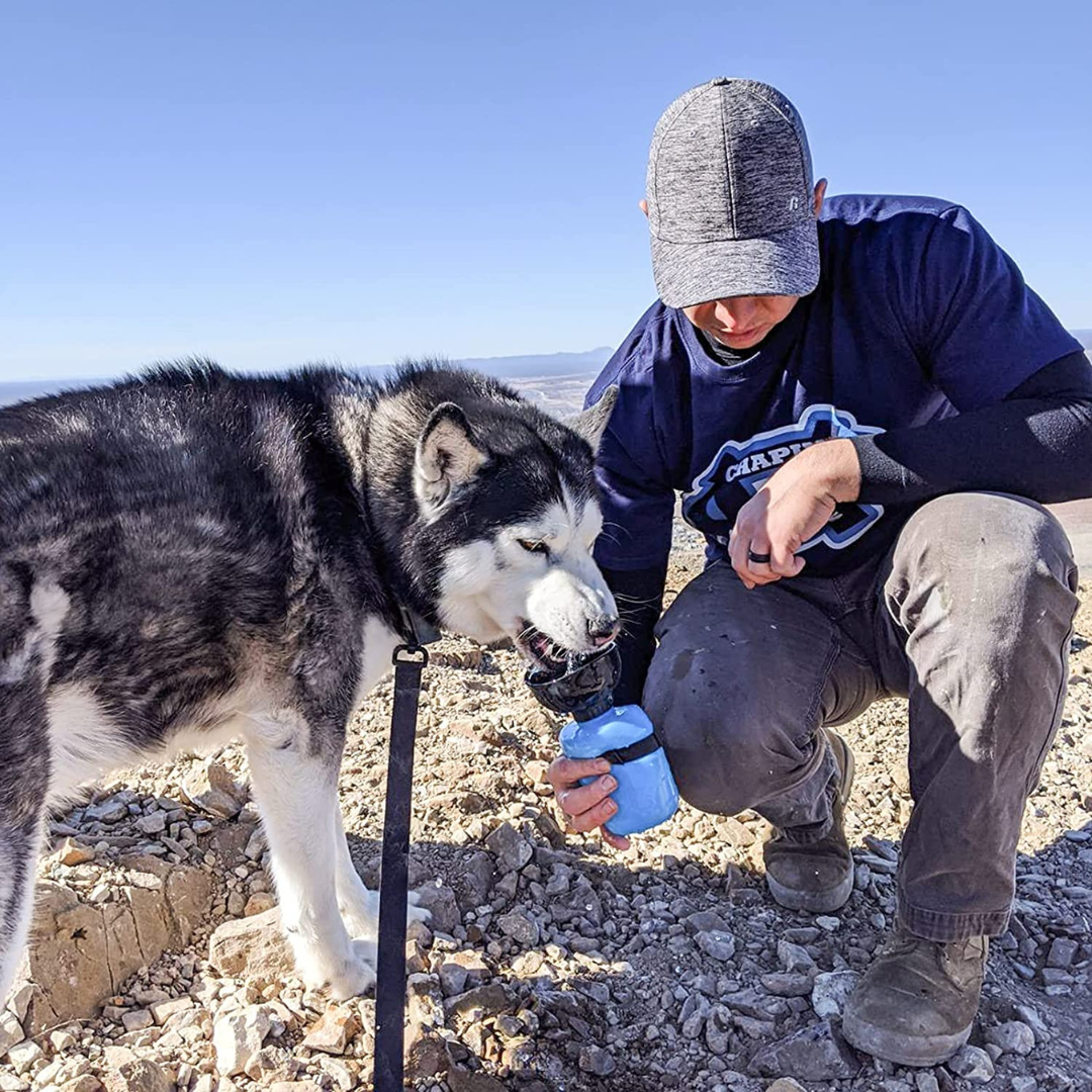Pet Water Bottle