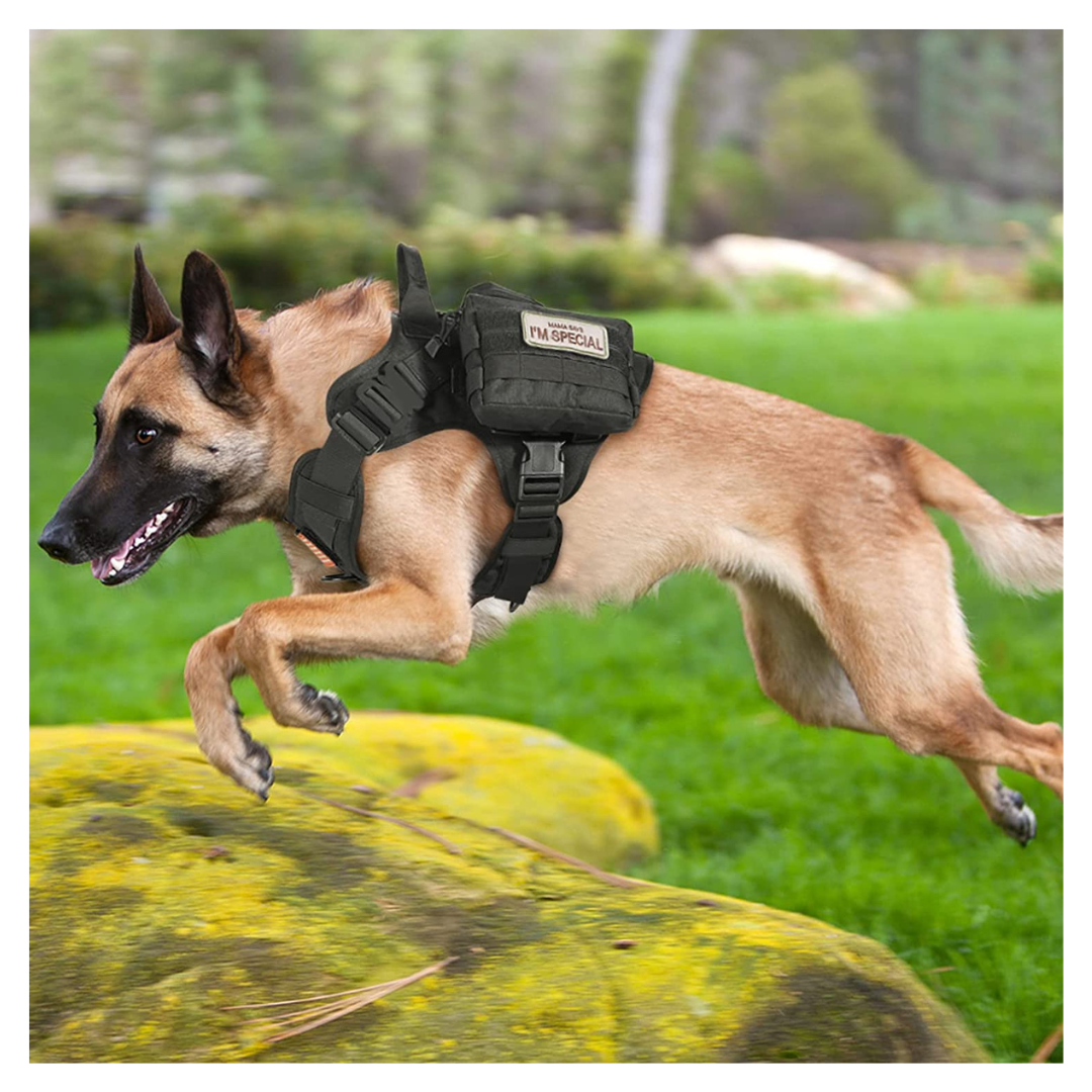 Dog Vest Harness for Training Hunting Walking