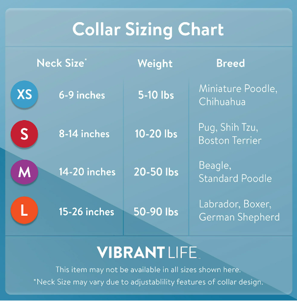 Premium Dog Collar