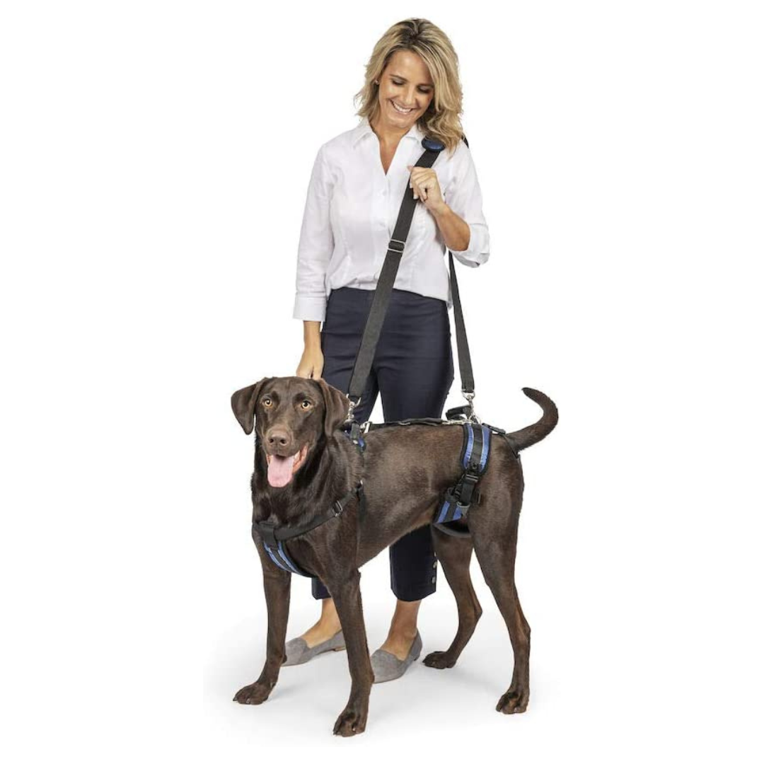 Full Body Dog Lift Harness with Handle & Shoulder Sling