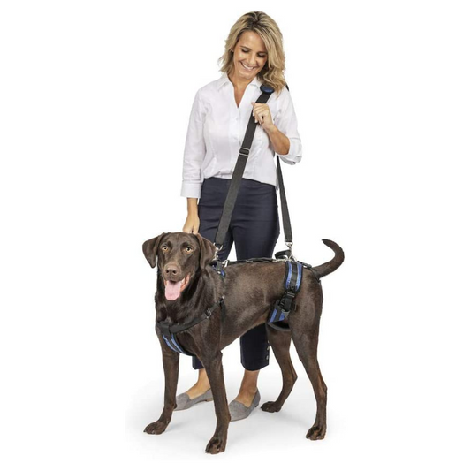 Full Body Dog Lift Harness with Handle & Shoulder Sling