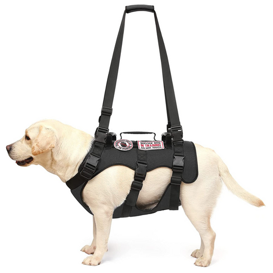 Dog Lift Harness Pet Support Rehabilitation Sling Lift Adjustable