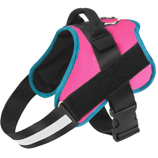 Dog Harness