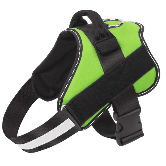 Pet Harness with Handle