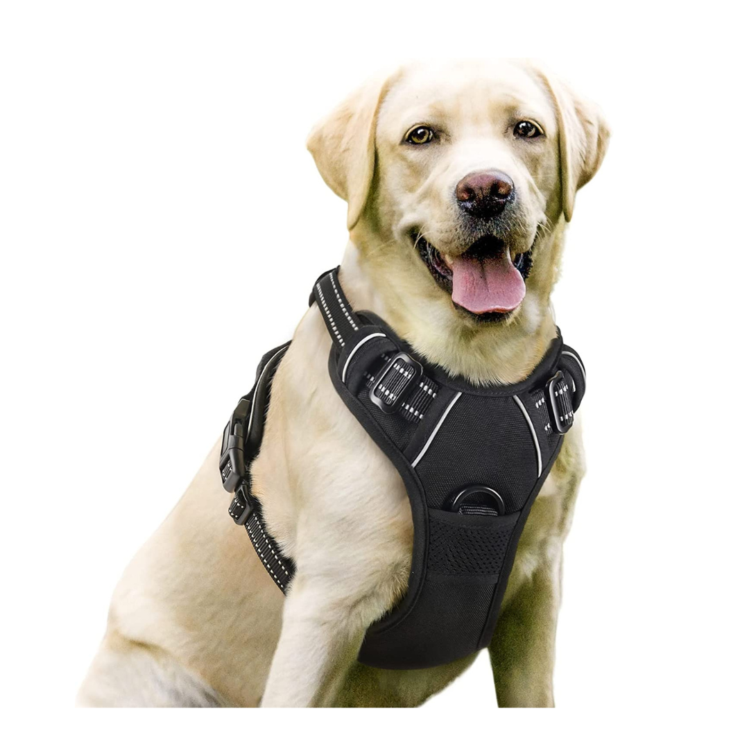 No-Pull Pet Harness with 2 Leash Clips