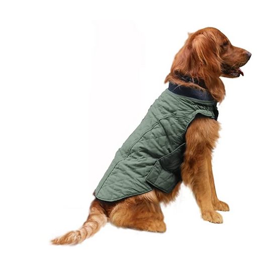 Windproof Dog Jackets for Cold Weather