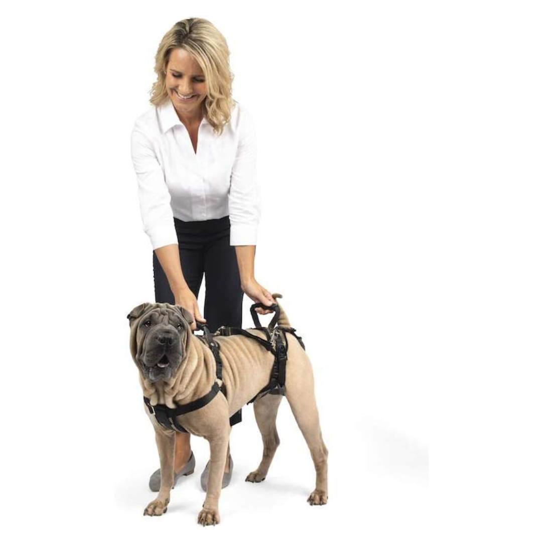 Full Body Dog Lift Harness with Handle & Shoulder Sling