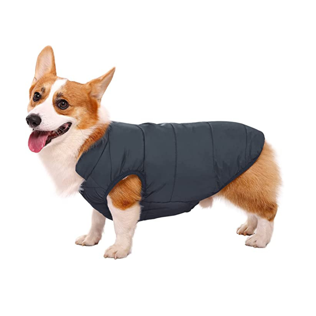 Windproof Dog Winter Jacket