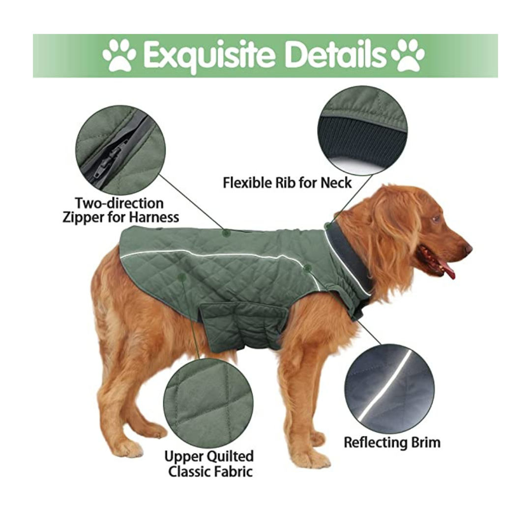 Windproof Dog Jackets for Cold Weather