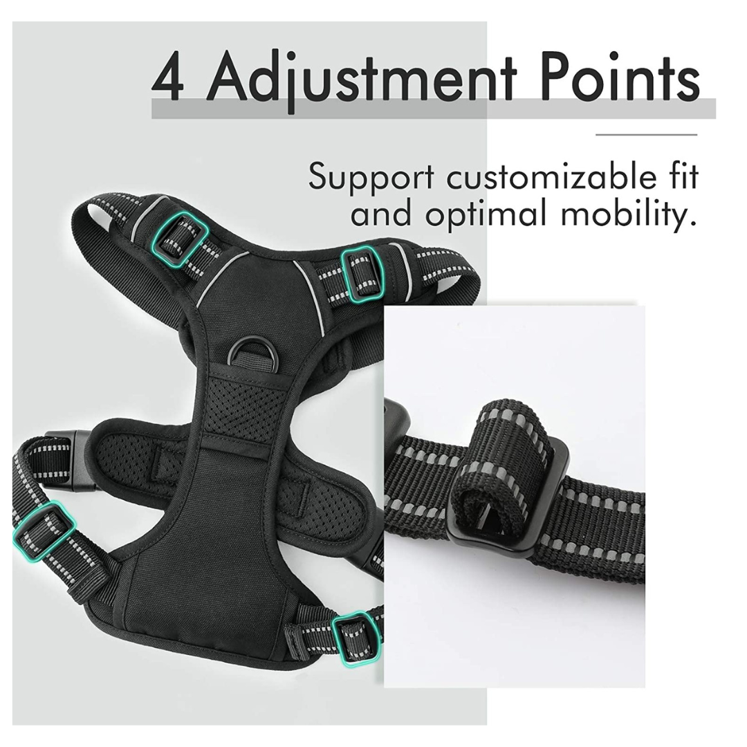 No-Pull Pet Harness with 2 Leash Clips