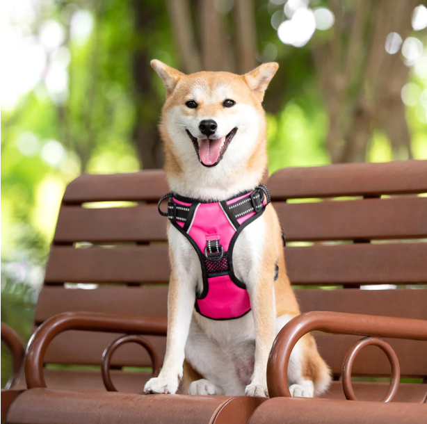 Adjustable Soft Padded Pet Harness