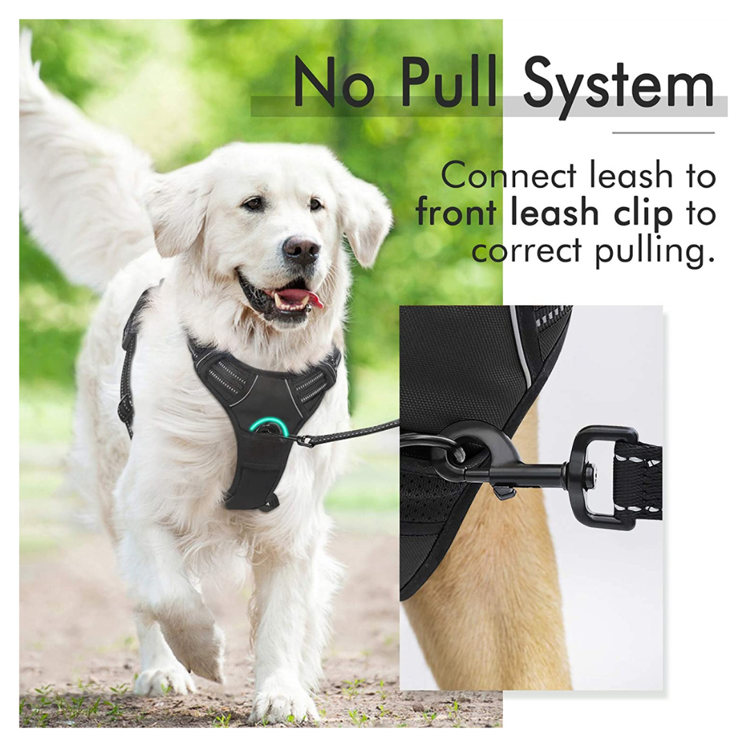 No-Pull Pet Harness with 2 Leash Clips