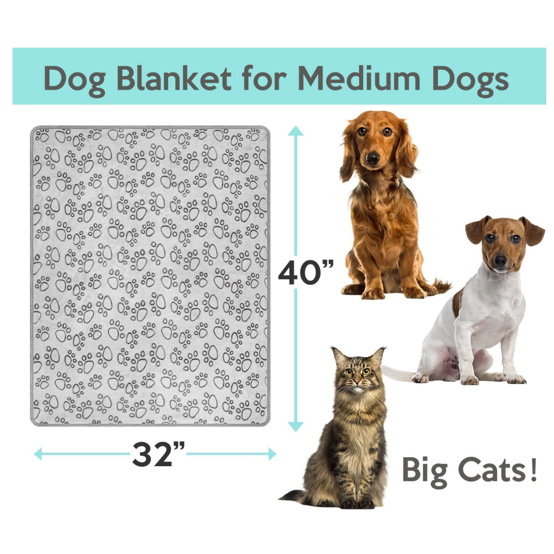 Premium Soft Dog Blanket with Flannel Grey Cute Paw Print