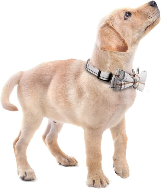 Detachable and Adjustable Bow Tie Collar