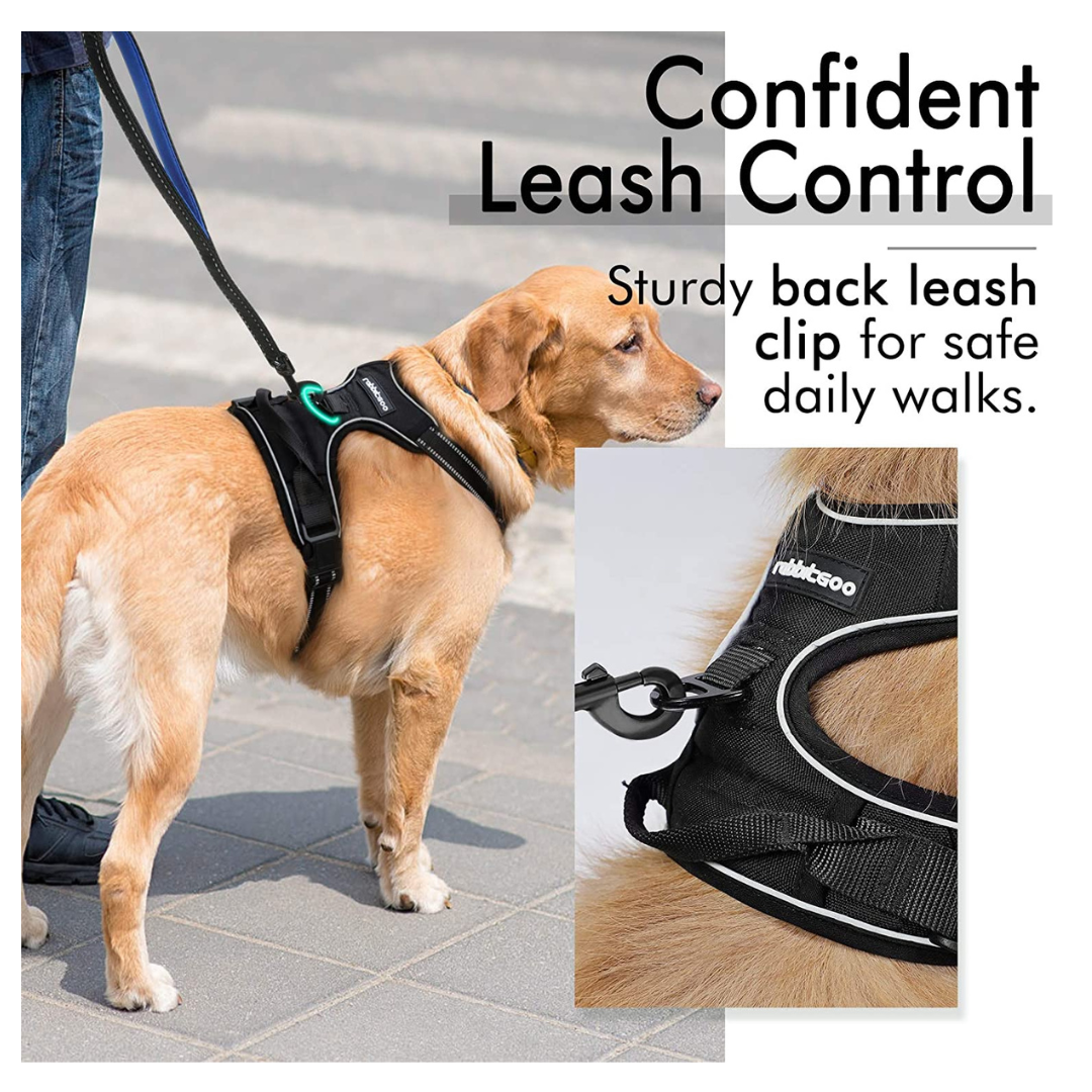 No-Pull Pet Harness with 2 Leash Clips