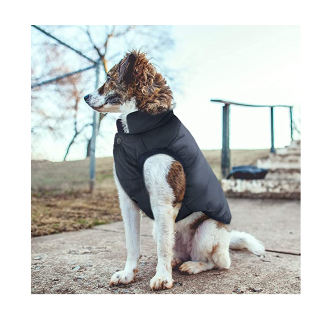 Windproof Dog Winter Jacket