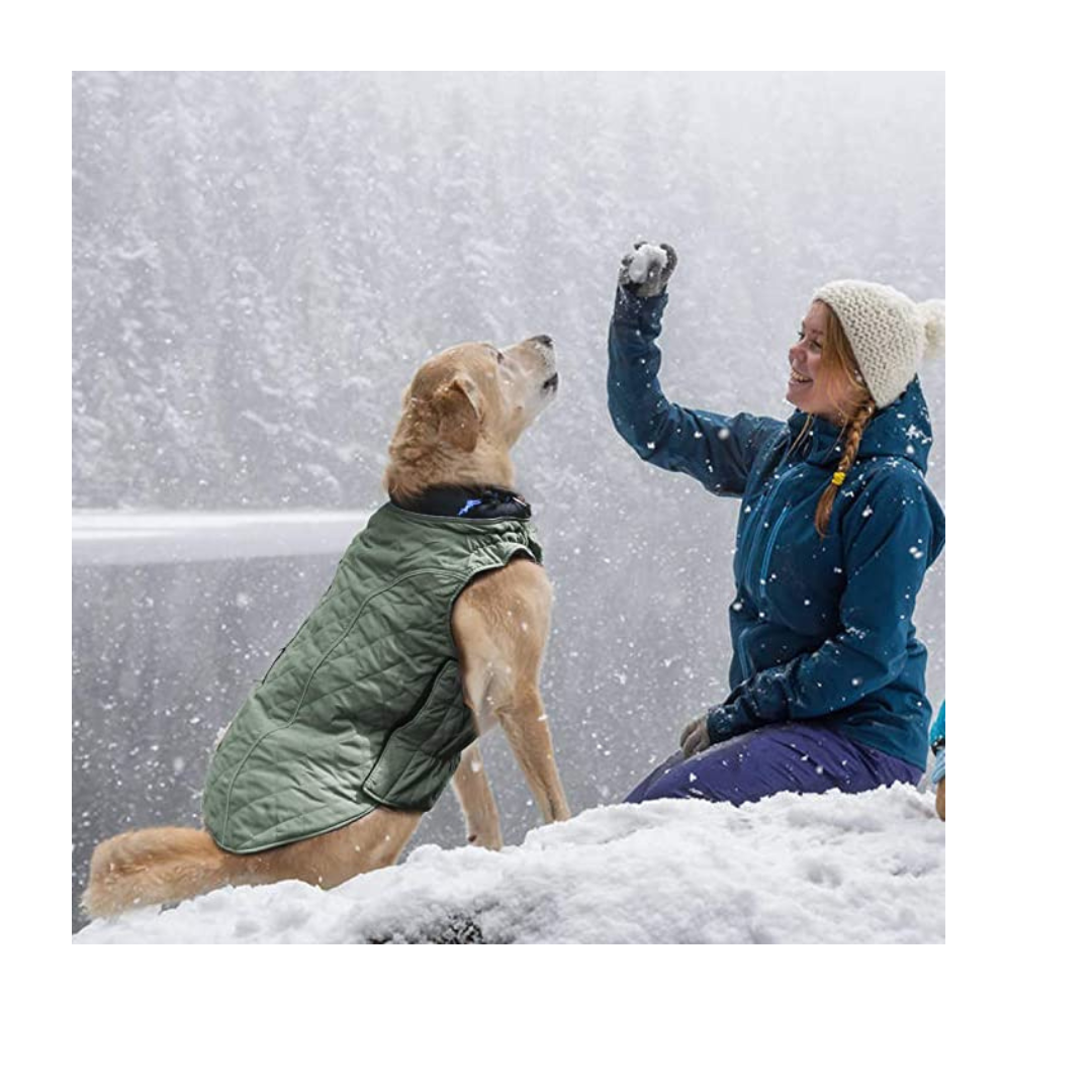 Windproof Dog Jackets for Cold Weather