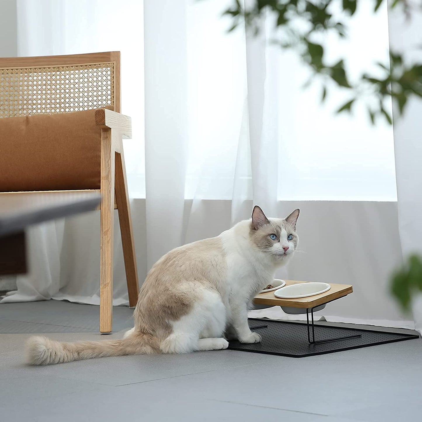 Elevated Ceramic Bowls