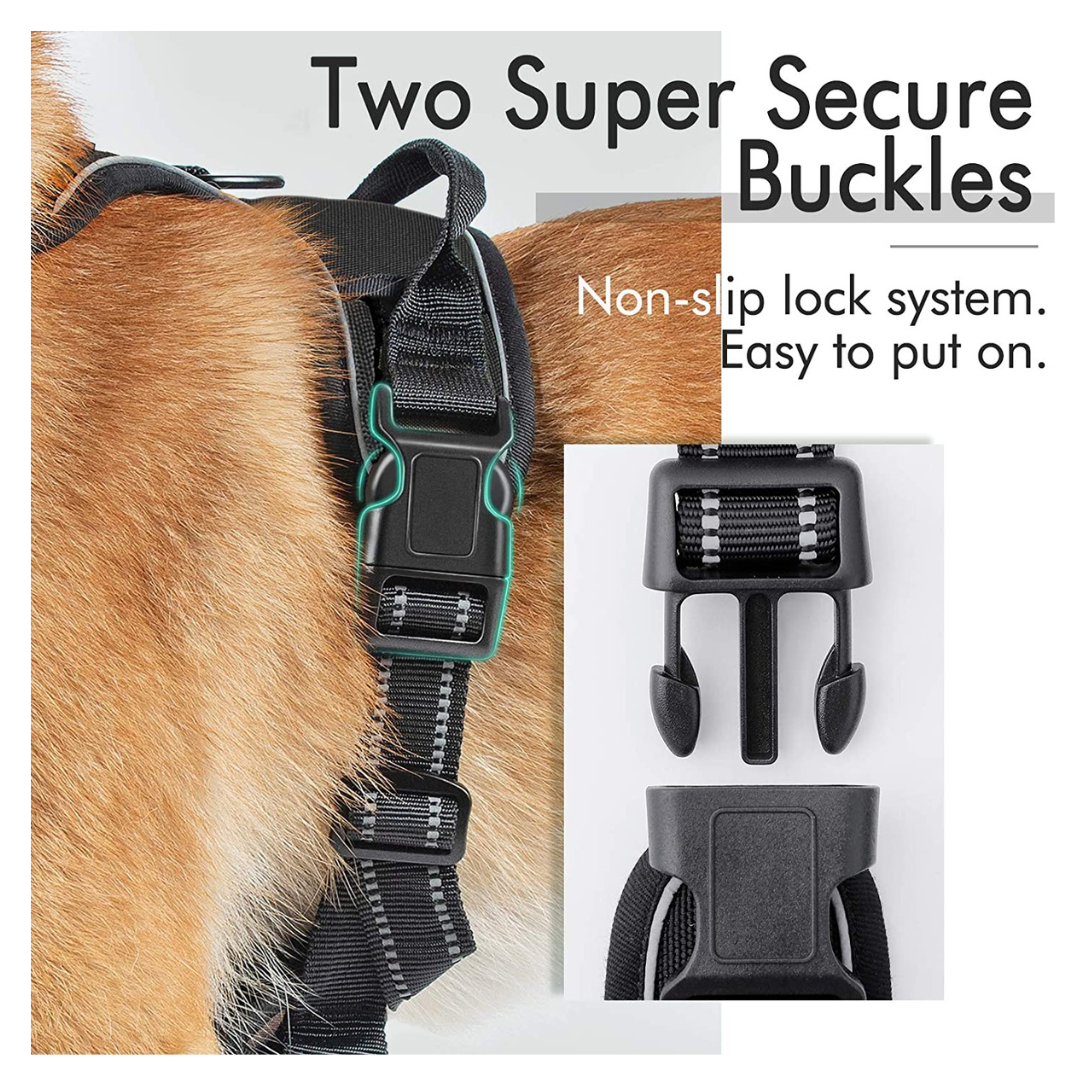 No-Pull Pet Harness with 2 Leash Clips