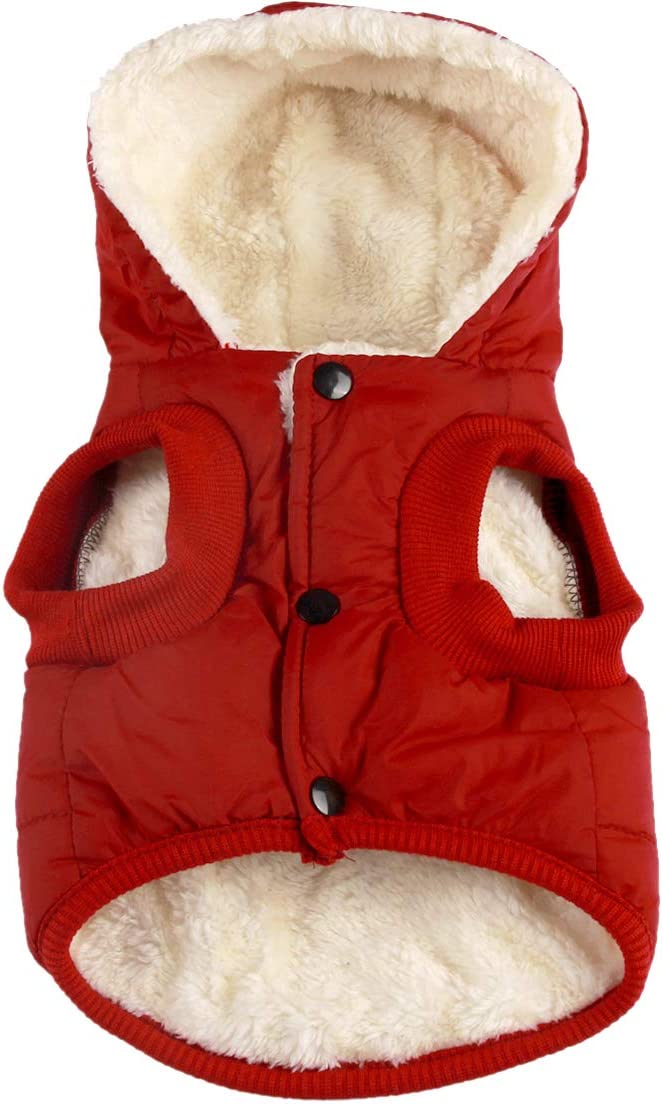 Small Dogs Jacket Puppy Coats with Hooded,