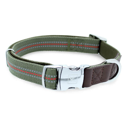 Premium Dog Collar