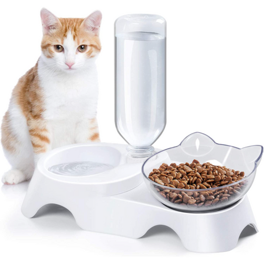 Cat Bowls Food and Water with Automatic Waterer Bottle