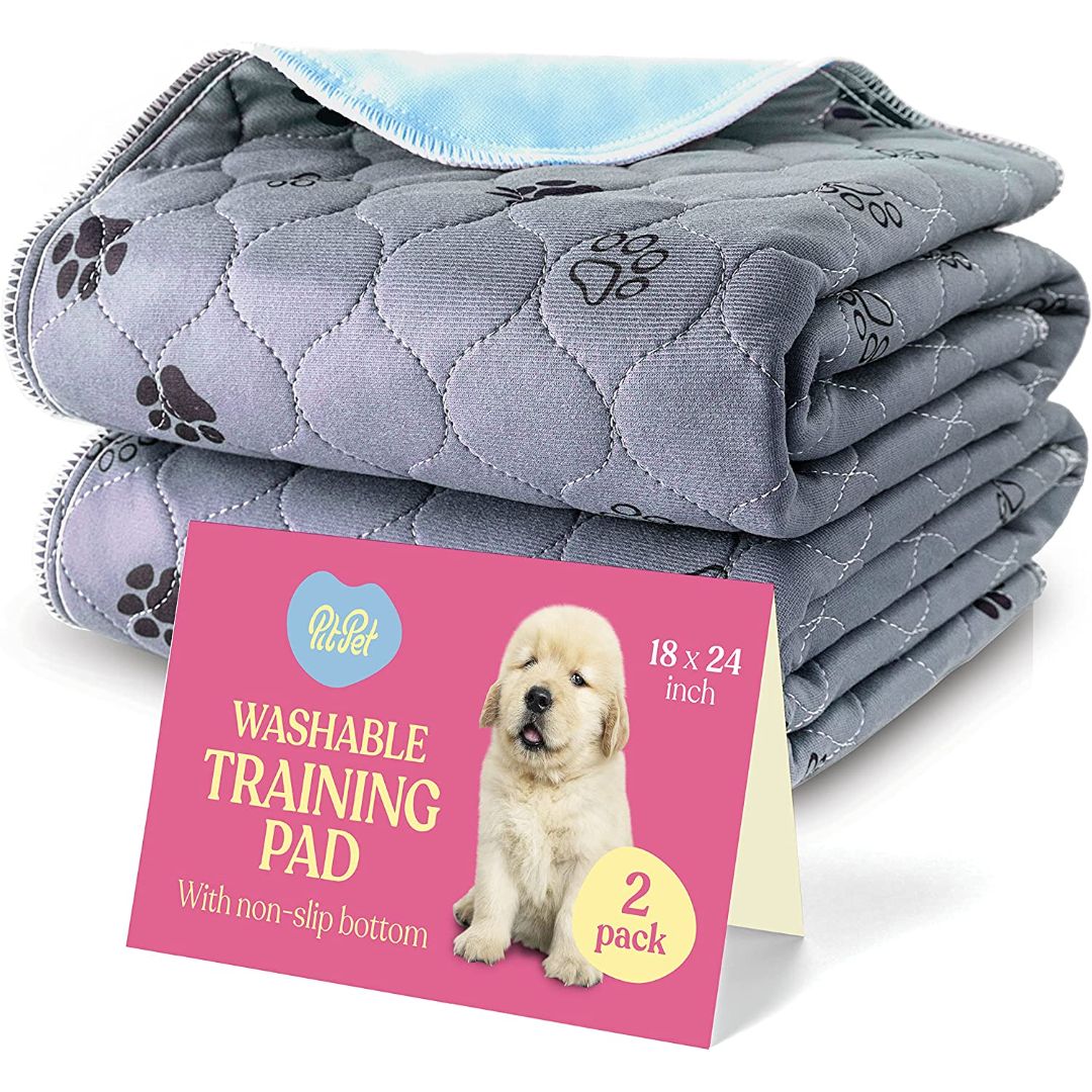 2-Pack Superior Reusable Puppy Pads Pet Training Pads