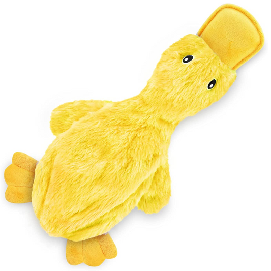 Crinkle Dog Toy