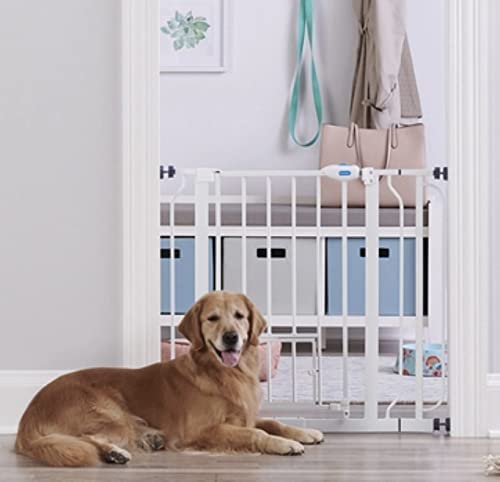 Pet Gate with Small Pet Door