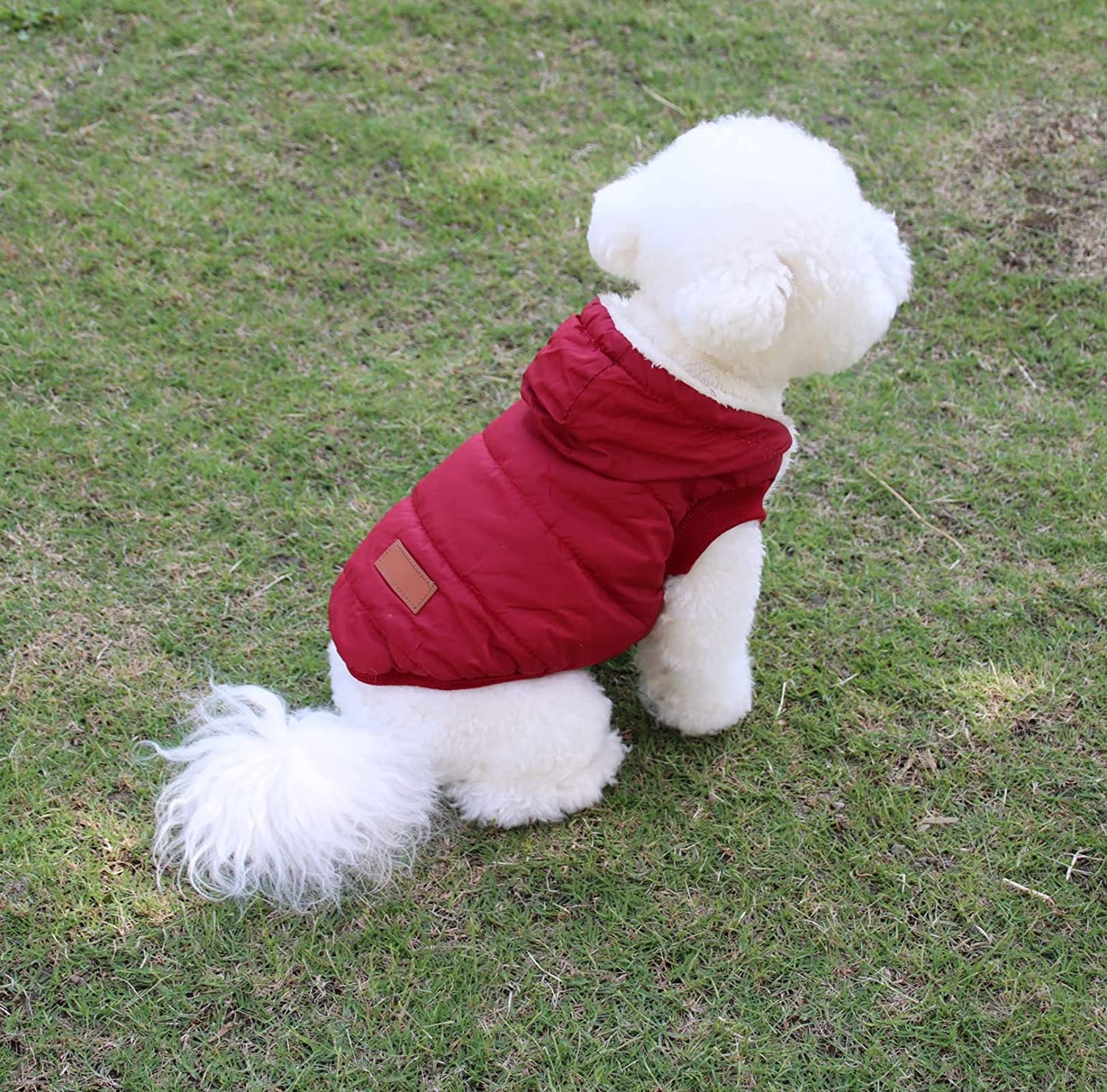 Small Dogs Jacket Puppy Coats with Hooded,